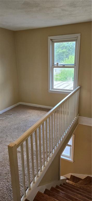 24 Arthur Avenue Property Photo 15