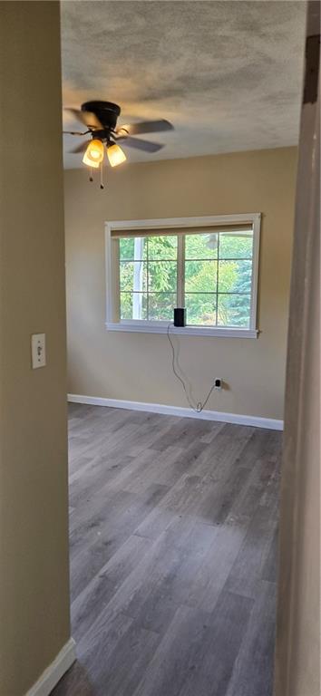 24 Arthur Avenue Property Photo 19