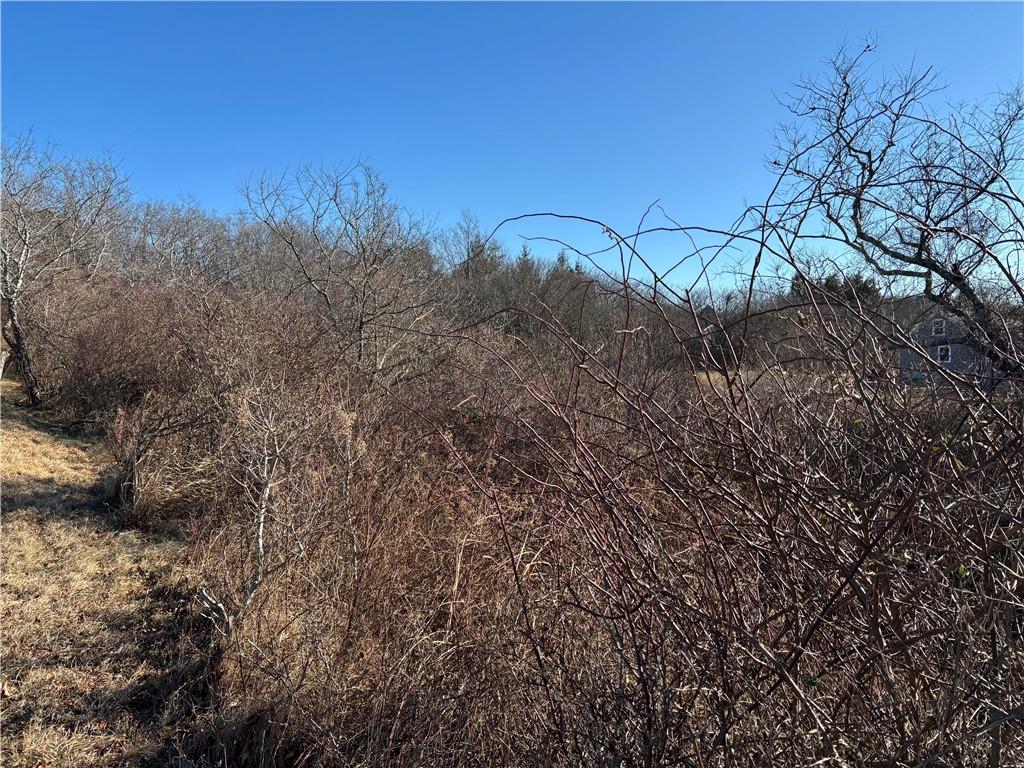 0 West Side Road Property Photo 4