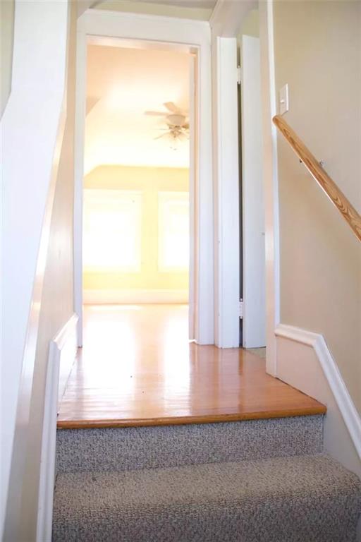 50 Fruit Hill Avenue Property Photo 24