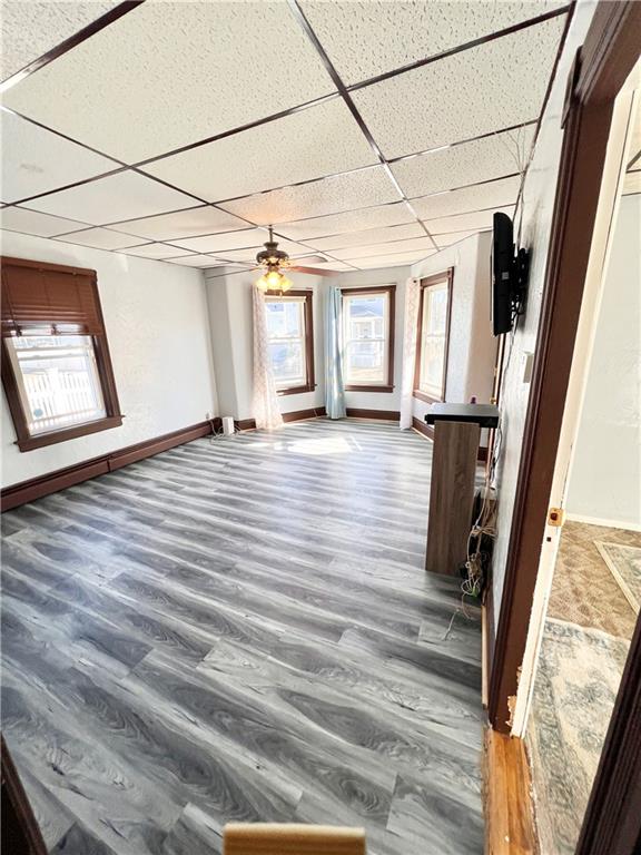 15 Lucas Street Property Photo 3
