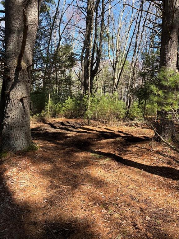 0 Putnam Pike Property Photo 1