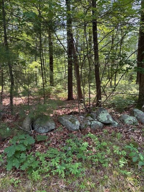 362 Fry Pond Road Property Photo 1