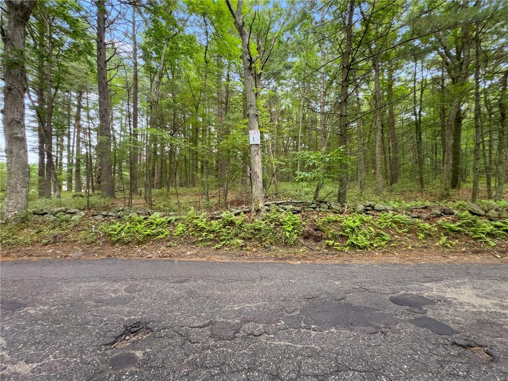 245 Lot 1 Reservoir Road Property Photo 5