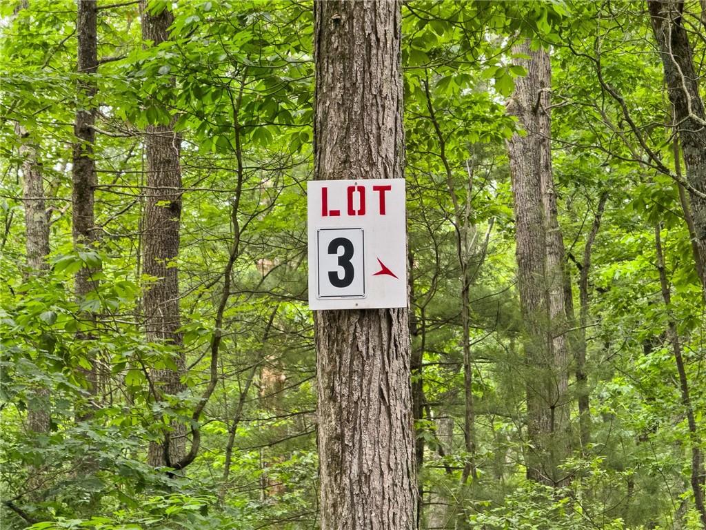 235 Lot 3 Reservoir Road Property Photo 5