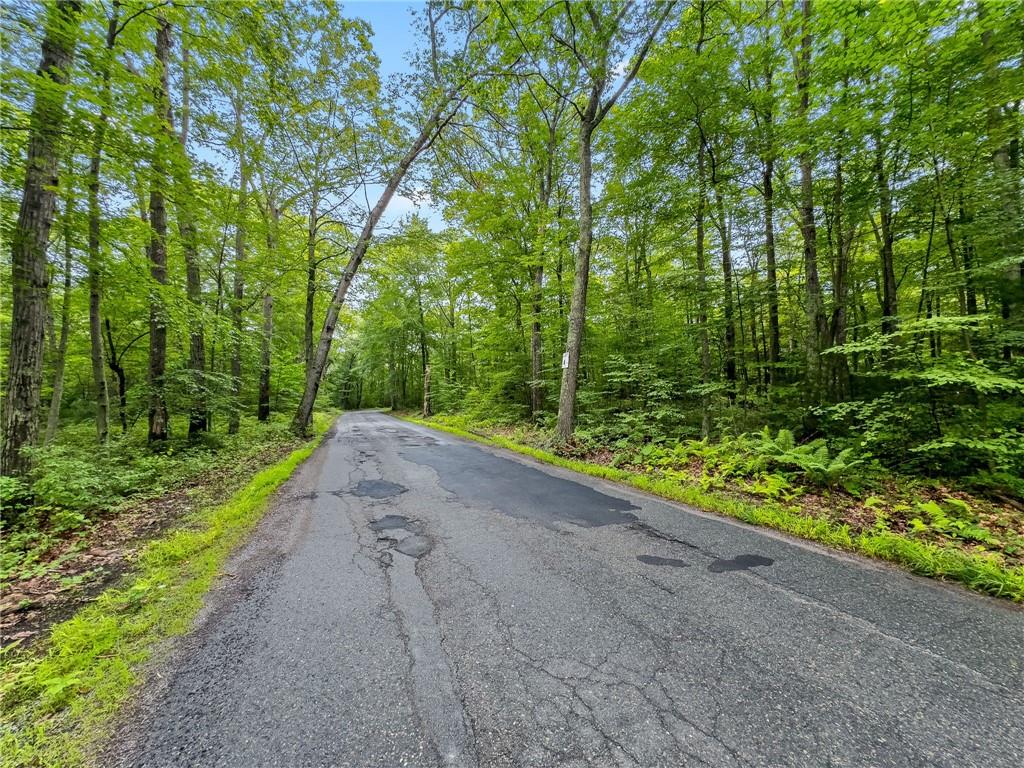 229 Lot 4 Reservoir Road Property Photo 4