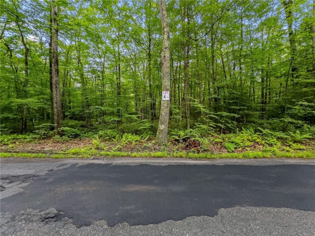 229 Lot 4 Reservoir Road Property Photo 5