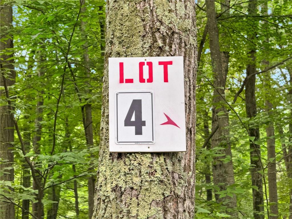 229 Lot 4 Reservoir Road Property Photo 6