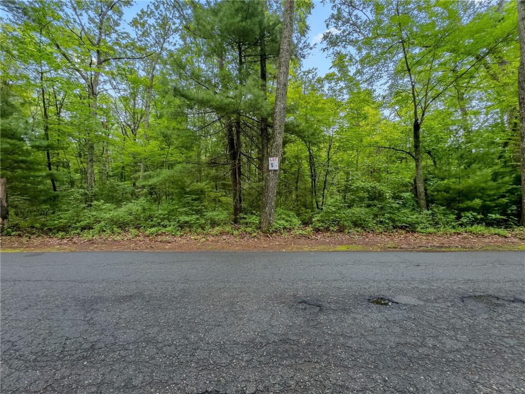223 Lot 5 Reservoir Road Property Photo 6