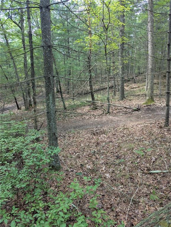 0 (rear) Douglas Pike Property Photo 2