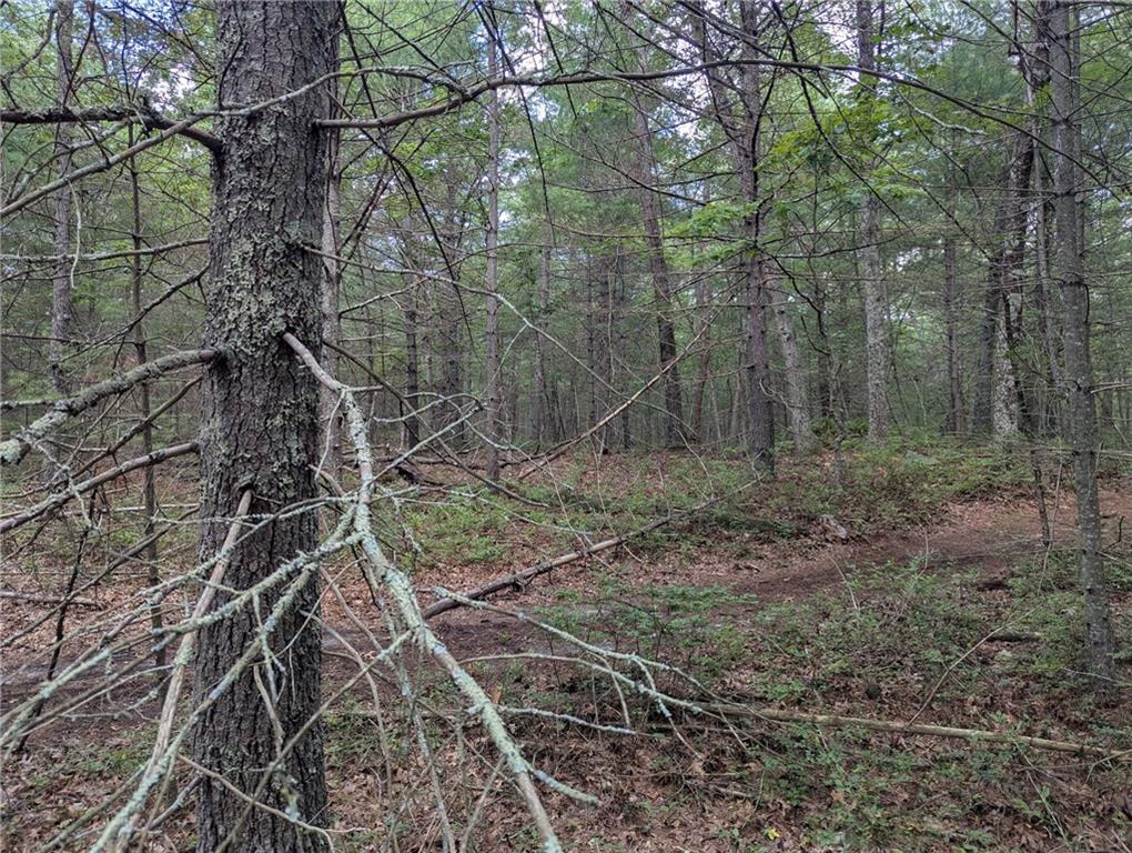 0 (rear) Douglas Pike Property Photo 4