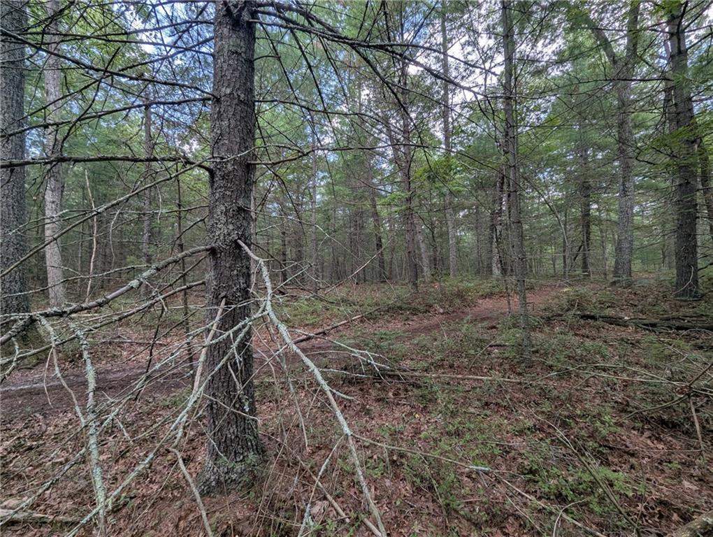 0 (rear) Douglas Pike Property Photo 5