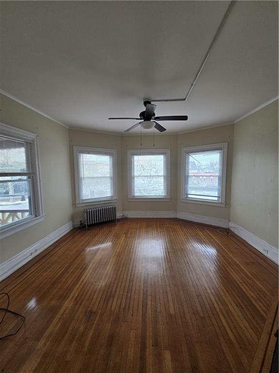 217 Elmwood Avenue Property Photo 27