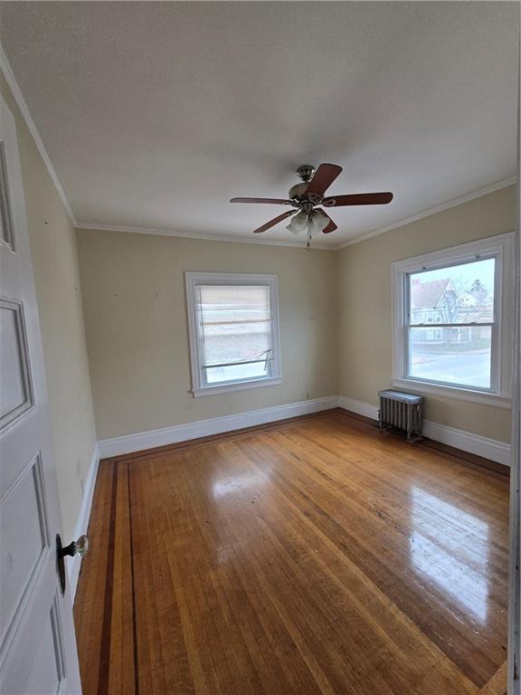 217 Elmwood Avenue Property Photo 29