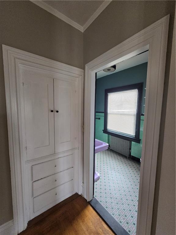 217 Elmwood Avenue Property Photo 35