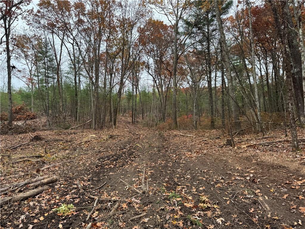0 Steere Farm Road Property Photo 6