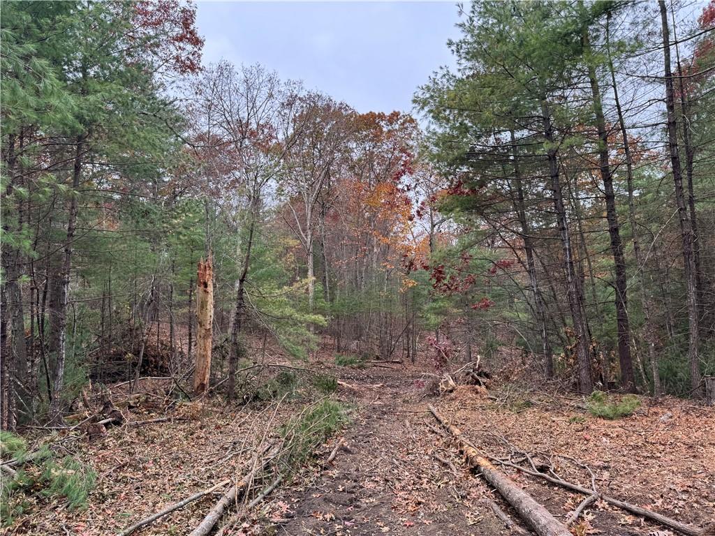 0 Steere Farm Road Property Photo 10