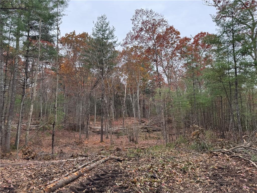 0 Steere Farm Road Property Photo 13