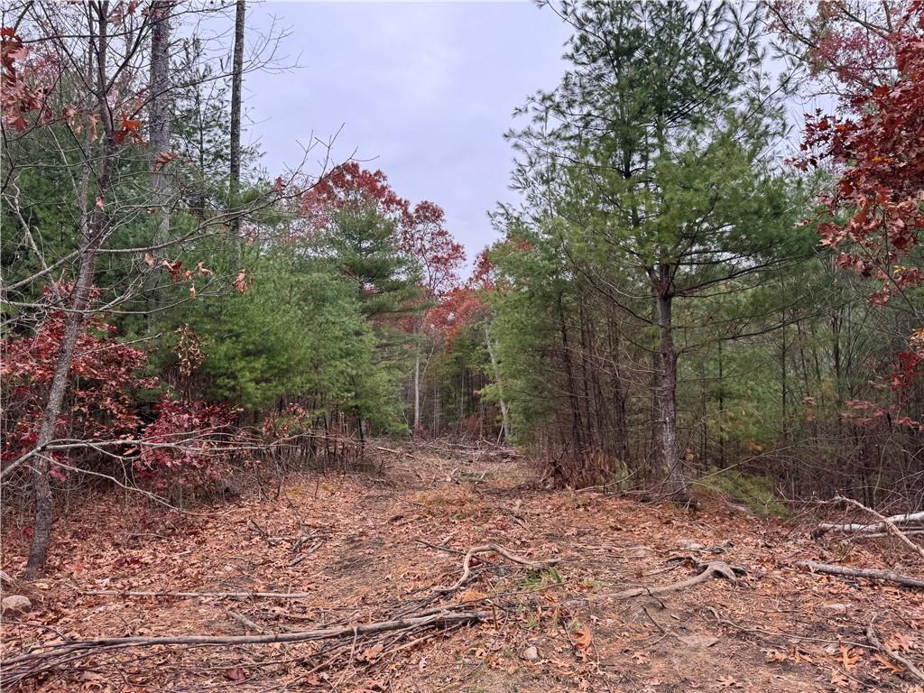 0 Steere Farm Road Property Photo 15