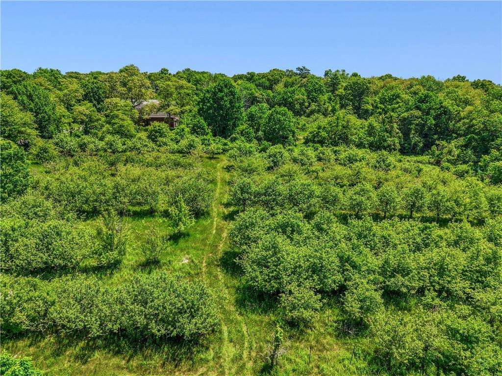0 Carrs Trail Property Photo 3