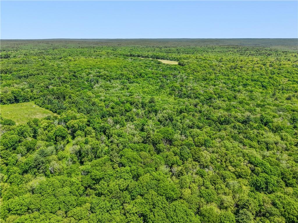 0 Carrs Trail Property Photo 6