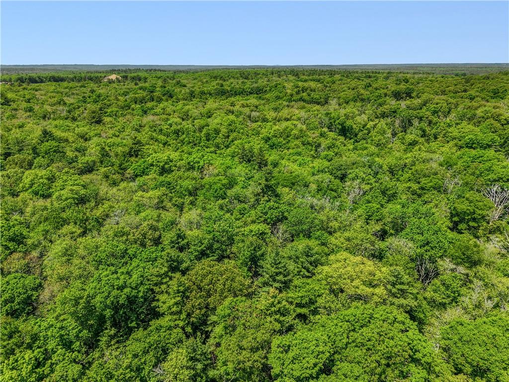 0 Carrs Trail Property Photo 10