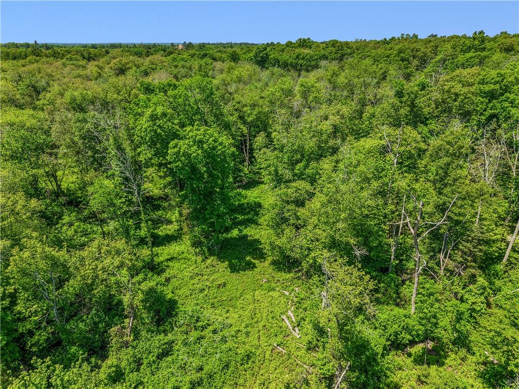 0 Carrs Trail Property Photo 11