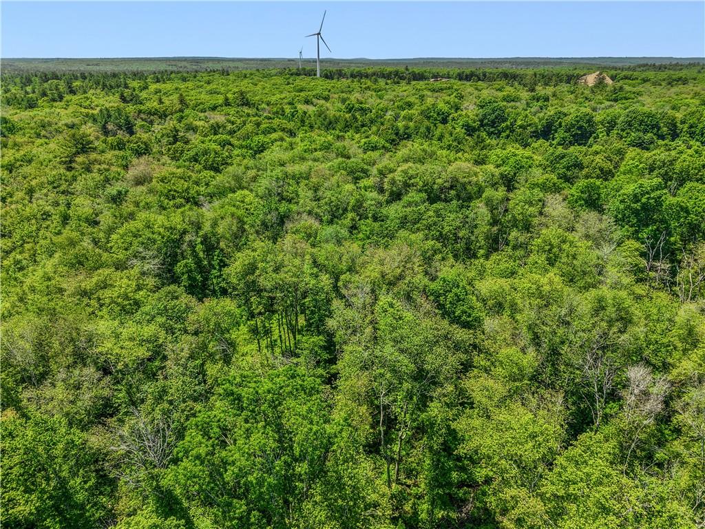 0 Carrs Trail Property Photo 12