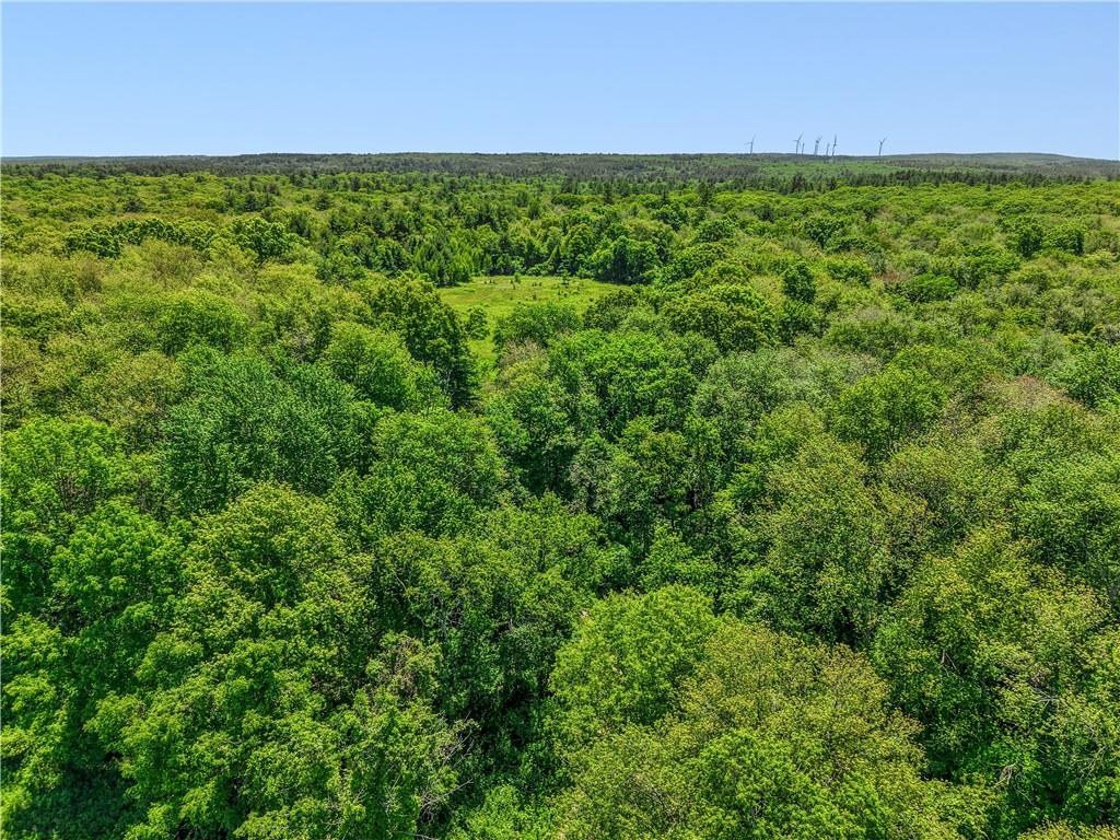 0 Carrs Trail Property Photo 13