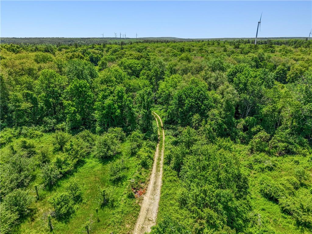 0 Carrs Trail Property Photo 14