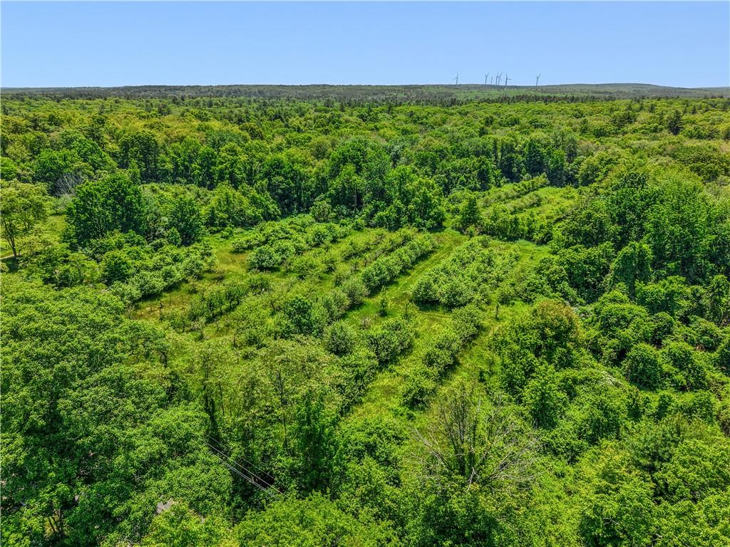 0 Carrs Trail Property Photo 20