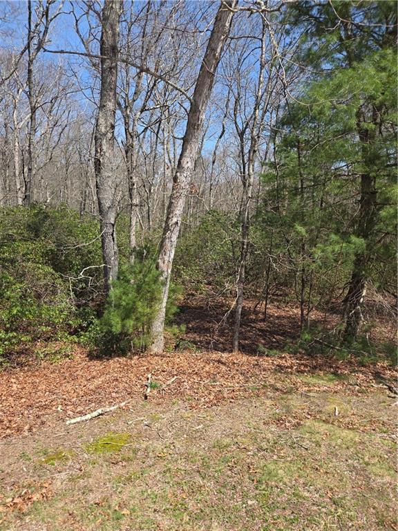 0 Nadia Court Property Photo 1