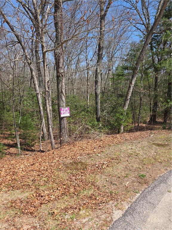 0 Nadia Court Property Photo 2