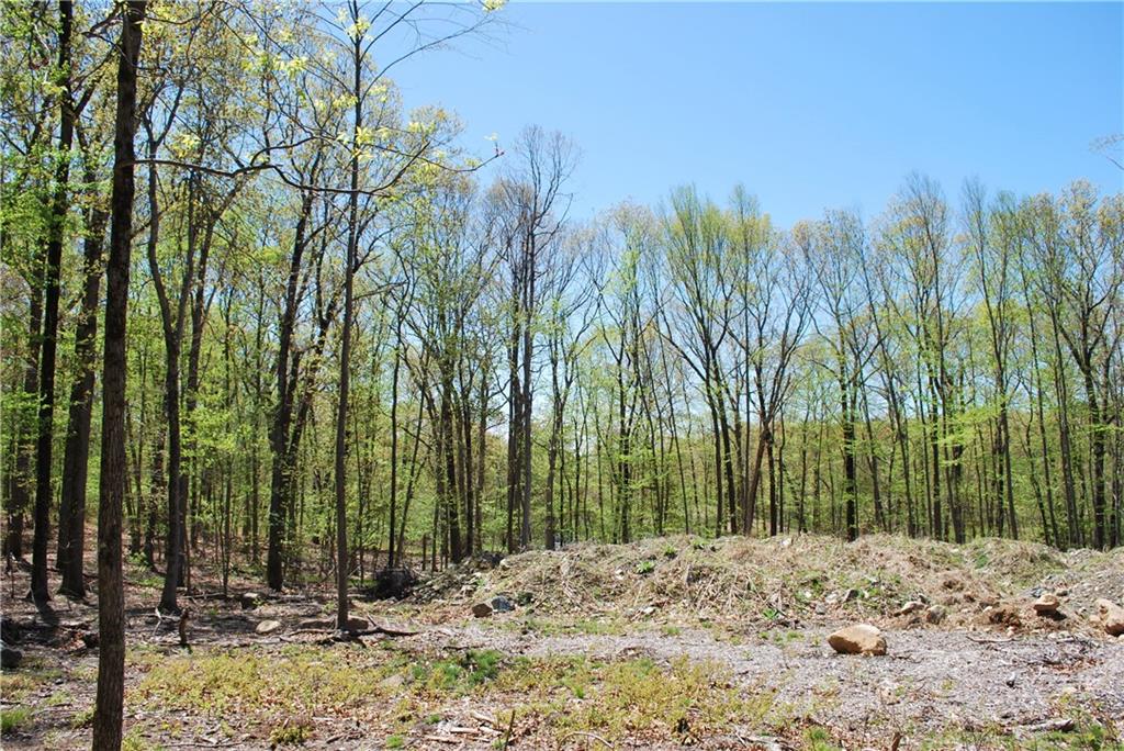 296 Tower Hill Road Property Photo 4