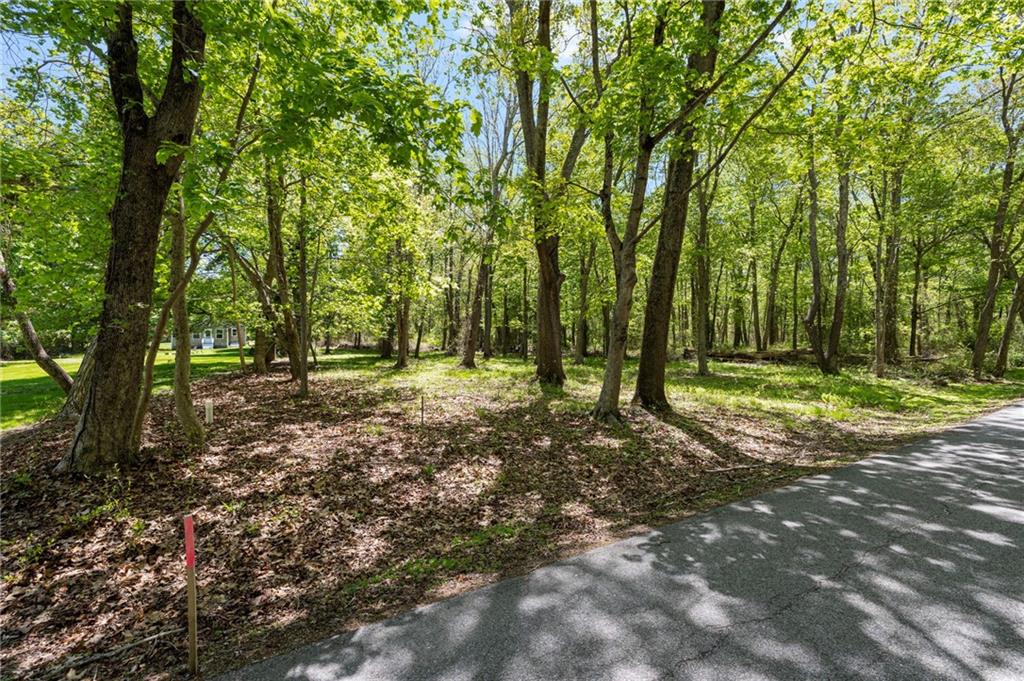 0 North Main Road Property Photo 1