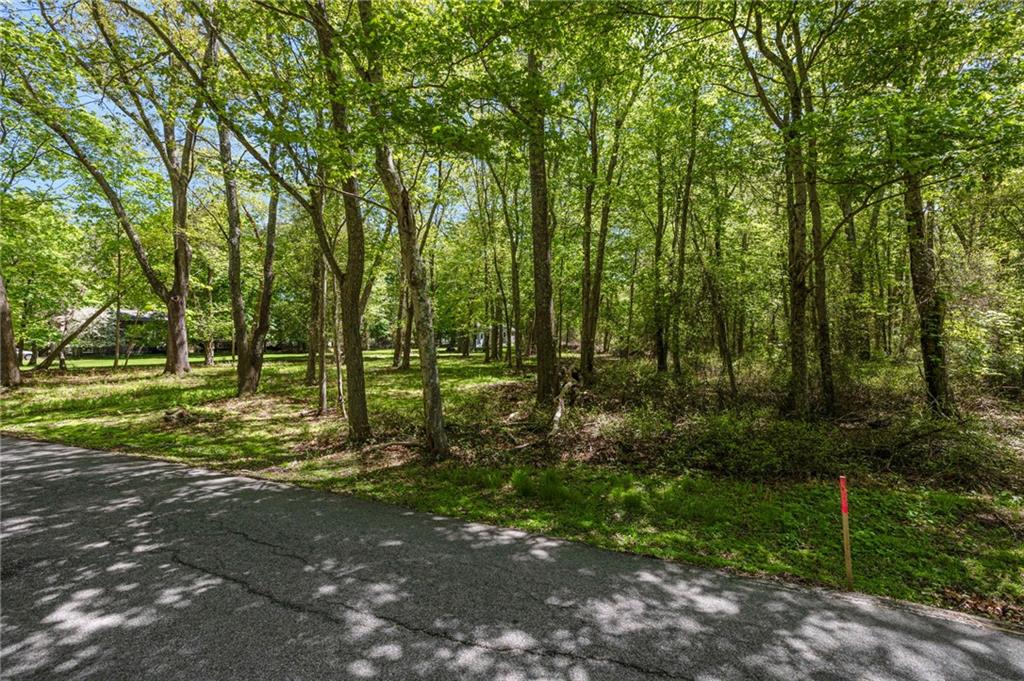 0 North Main Road Property Photo 3