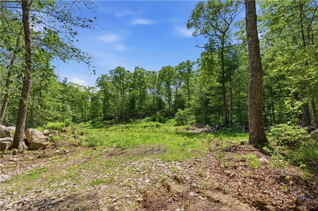 234 John Potter Road Property Photo 1