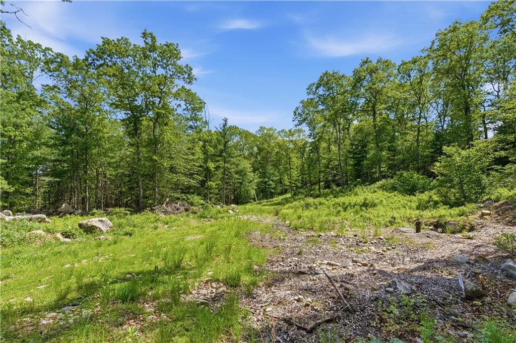 234 John Potter Road Property Photo 2