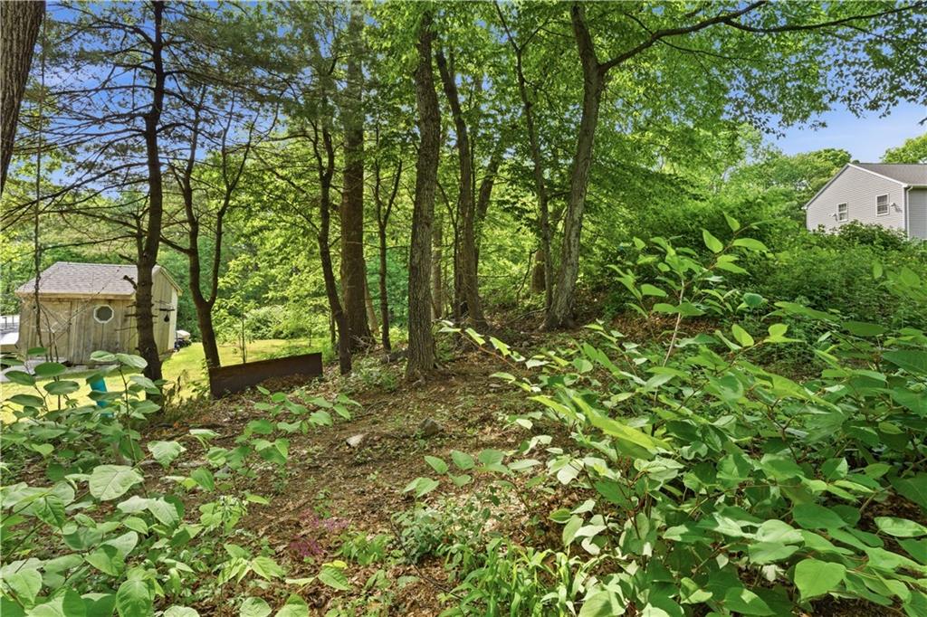 38 Summit Road