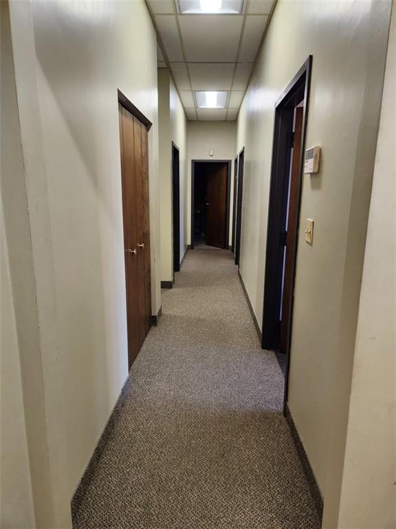 31 Delaine Street Property Photo 15