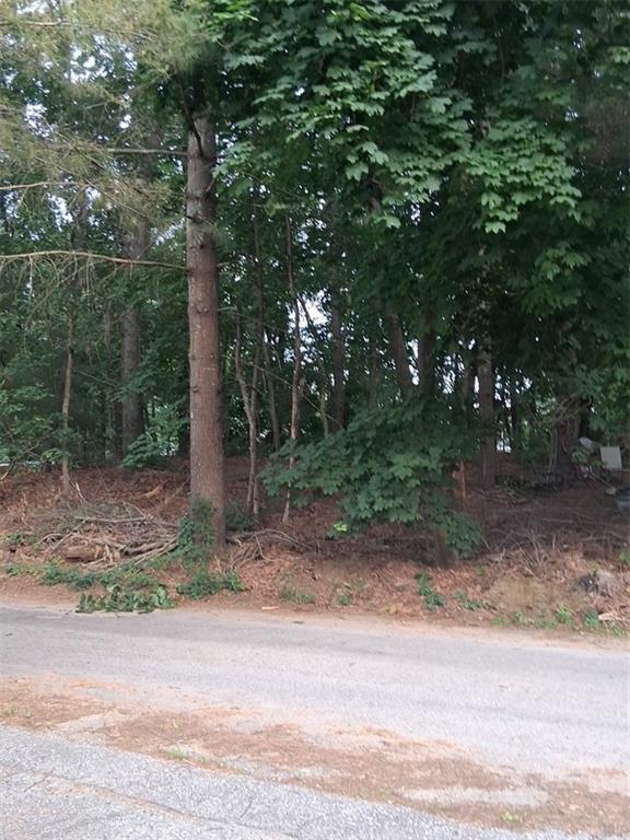 0 Pine Knoll Drive Property Photo 1