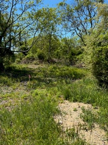 0 Lee's Ridge Road Property Photo 1