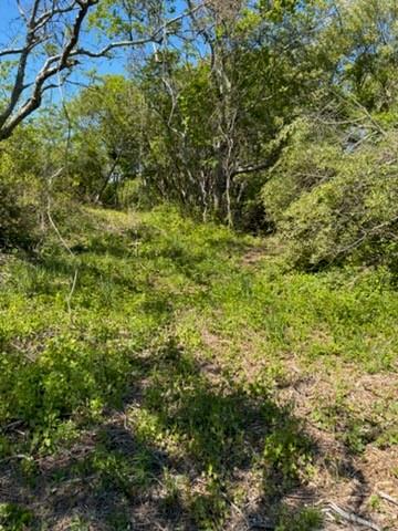 0 Lee's Ridge Road Property Photo 3