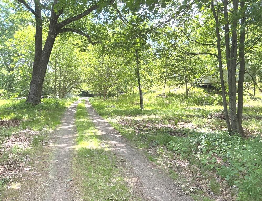 339 Anglewood Drive Property Photo 3