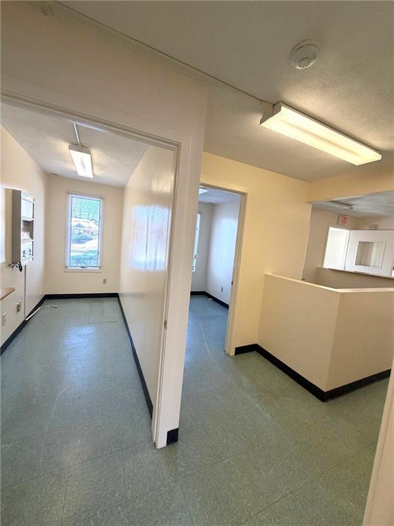 1302 Elmwood Avenue Property Photo 11