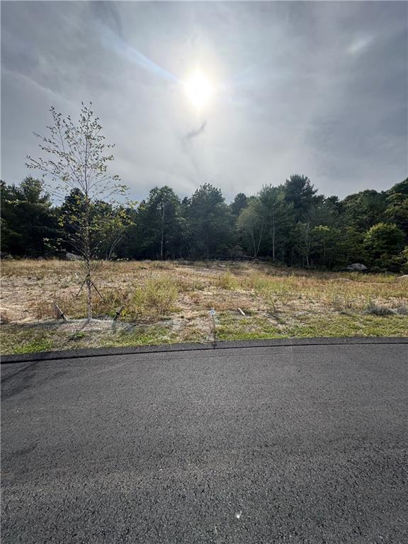 0 Jackson Pond Lot 25 Road Property Photo 2