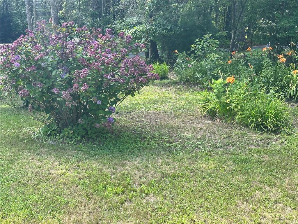 6 Short Road Property Photo 8