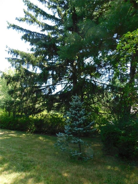 8 C Kingstown Road Property Photo 18