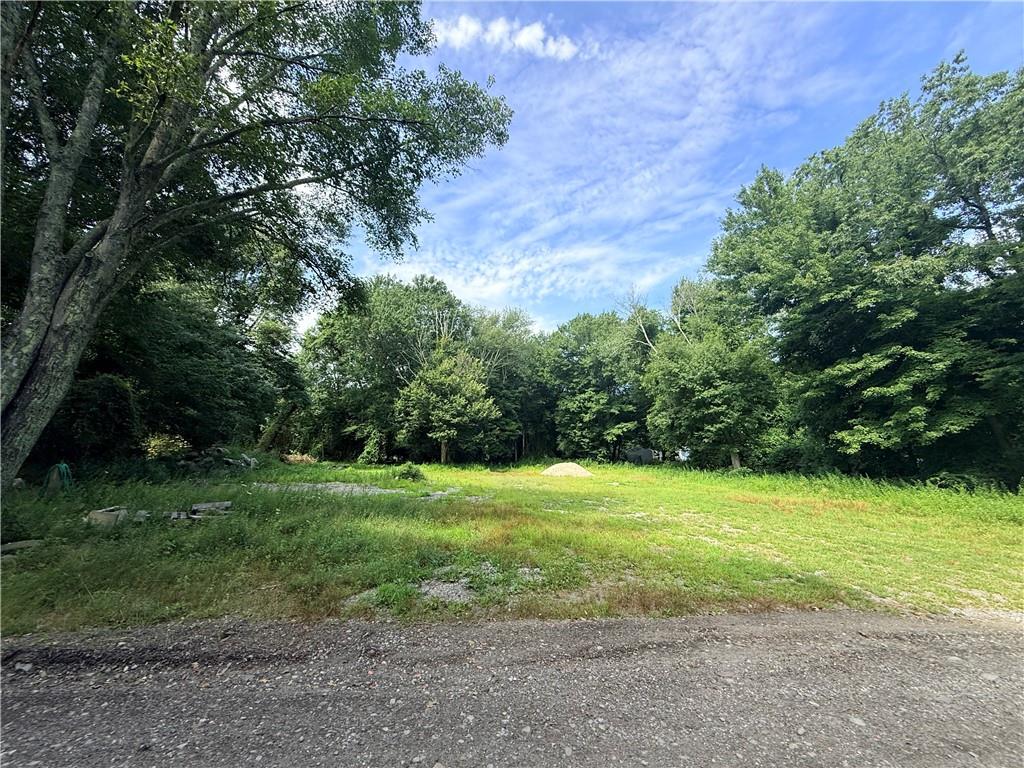 0 Daniel Avenue Property Photo 1