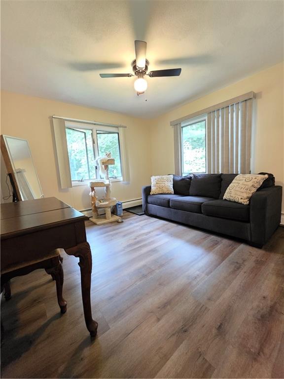 1184 Fish Hill Road Property Photo 19